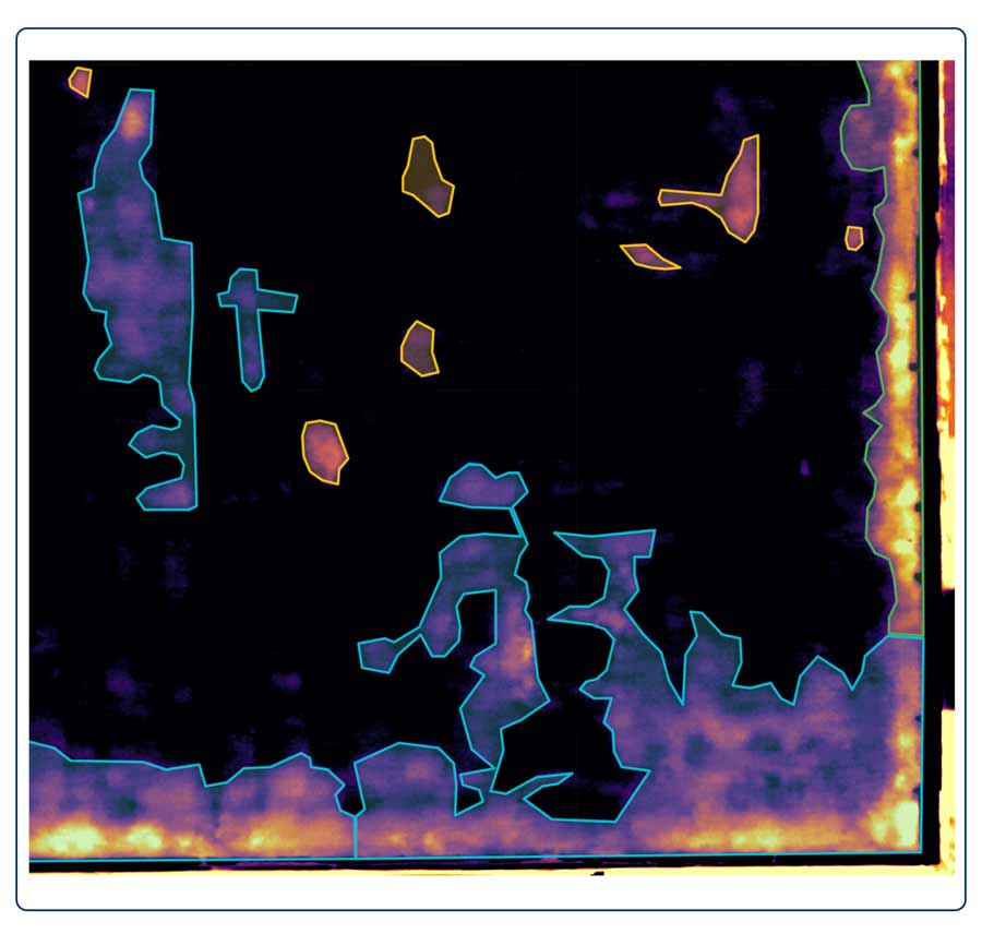 Thermal image moisture mapping